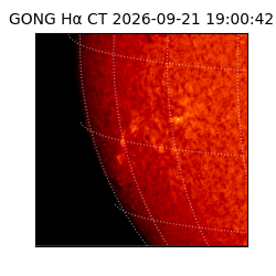 gong - 2026-09-21T19:00:42