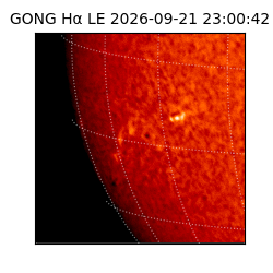 gong - 2026-09-21T23:00:42