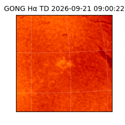 gong - 2026-09-21T09:00:22