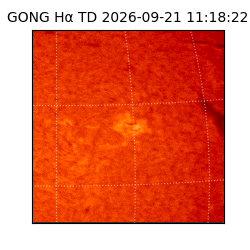 gong - 2026-09-21T11:18:22