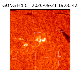 gong - 2026-09-21T19:00:42