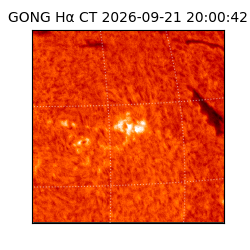 gong - 2026-09-21T20:00:42