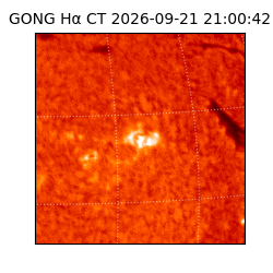 gong - 2026-09-21T21:00:42