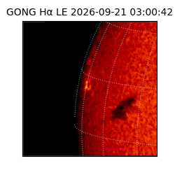 gong - 2026-09-21T03:00:42