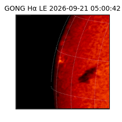 gong - 2026-09-21T05:00:42