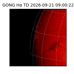gong - 2026-09-21T09:00:22
