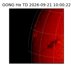 gong - 2026-09-21T10:00:22