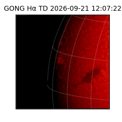 gong - 2026-09-21T12:07:22