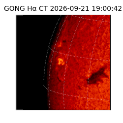 gong - 2026-09-21T19:00:42