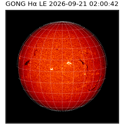 gong - 2026-09-21T02:00:42