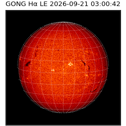 gong - 2026-09-21T03:00:42
