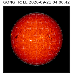 gong - 2026-09-21T04:00:42
