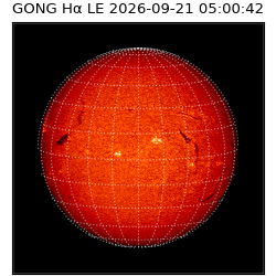 gong - 2026-09-21T05:00:42