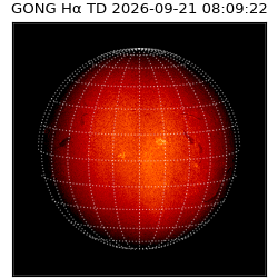 gong - 2026-09-21T08:09:22