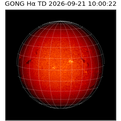 gong - 2026-09-21T10:00:22