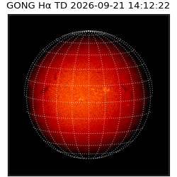 gong - 2026-09-21T14:12:22