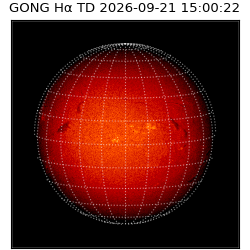gong - 2026-09-21T15:00:22