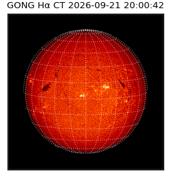 gong - 2026-09-21T20:00:42