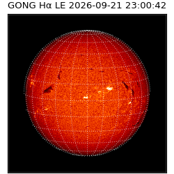gong - 2026-09-21T23:00:42