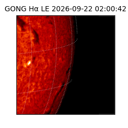 gong - 2026-09-22T02:00:42