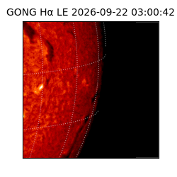 gong - 2026-09-22T03:00:42