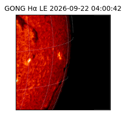 gong - 2026-09-22T04:00:42