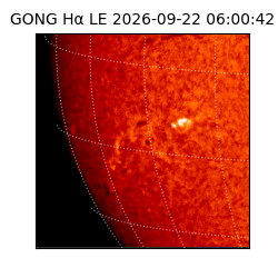 gong - 2026-09-22T06:00:42