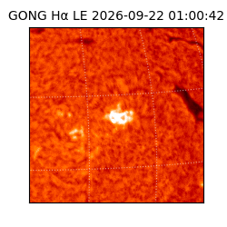 gong - 2026-09-22T01:00:42