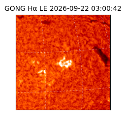 gong - 2026-09-22T03:00:42