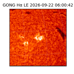 gong - 2026-09-22T06:00:42