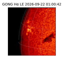 gong - 2026-09-22T01:00:42