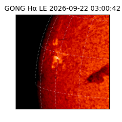 gong - 2026-09-22T03:00:42