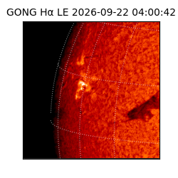 gong - 2026-09-22T04:00:42