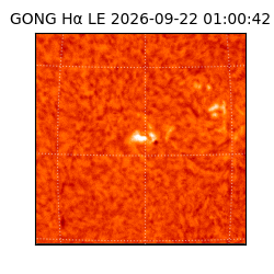 gong - 2026-09-22T01:00:42