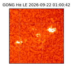 gong - 2026-09-22T01:00:42