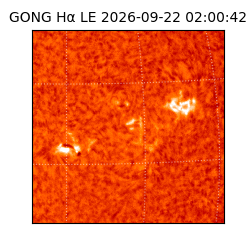gong - 2026-09-22T02:00:42