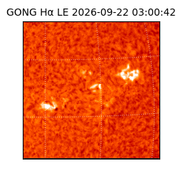 gong - 2026-09-22T03:00:42