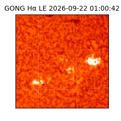 gong - 2026-09-22T01:00:42