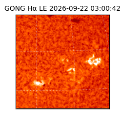 gong - 2026-09-22T03:00:42
