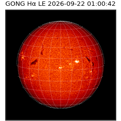 gong - 2026-09-22T01:00:42