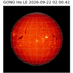 gong - 2026-09-22T02:00:42