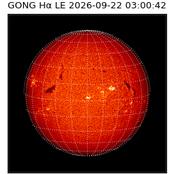 gong - 2026-09-22T03:00:42