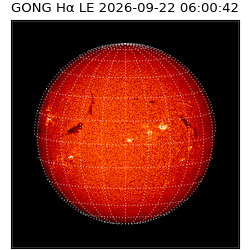 gong - 2026-09-22T06:00:42