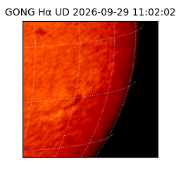 gong - 2026-09-29T11:02:02