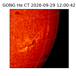 gong - 2026-09-29T12:00:42