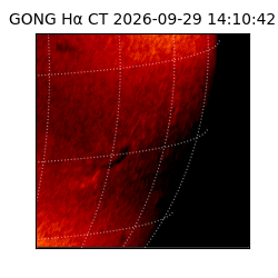 gong - 2026-09-29T14:10:42