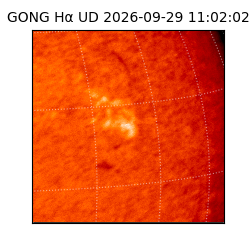 gong - 2026-09-29T11:02:02