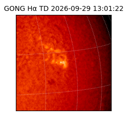 gong - 2026-09-29T13:01:22