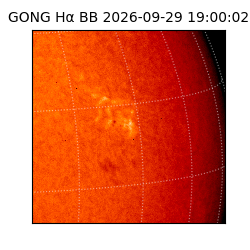 gong - 2026-09-29T19:00:02