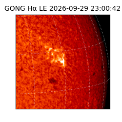 gong - 2026-09-29T23:00:42